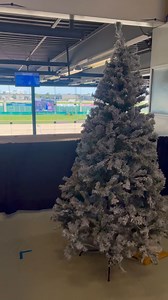 1.3K views · 11 reactions | The Feztival of Trees is opening tomorrow at #SHRP, come and check out the winter wonderland! Visit  https://bit.ly/4eE7rGB to get your tickets! | Sam Houston Race Park | Facebook
