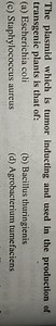 The plasmid which is tumor inducting and used in the production... | Filo