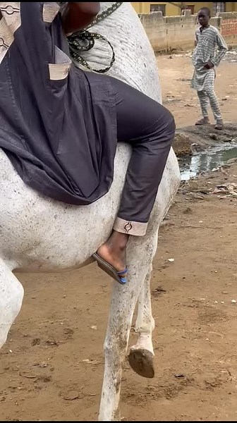 Niger_horse_riders on TikTok