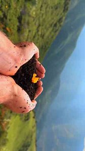 Reverse Effect: Create Stunning Reverse Videos