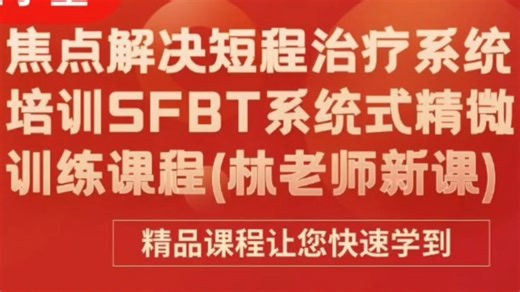 焦点解决短程治疗系统培训SFBT系统式精微训练课程(林老师新课程)