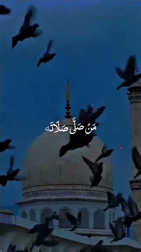 Muhammad Nabina-Beautiful Nasheed Lyrics Videoمحمد نبينا (Mohamed Nabina) | Spiritual Islamic Status