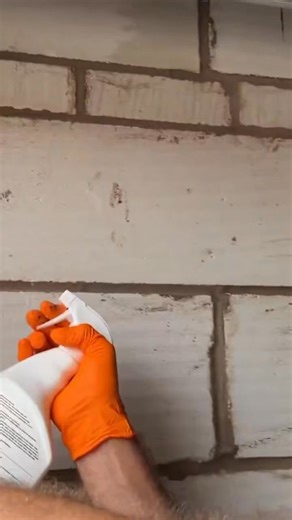 2.5K views | Want to get rid of spiders? You’ll want Advanced Insect Killer plus from the Pest Interceptors range! | Pest Interceptors | Facebook