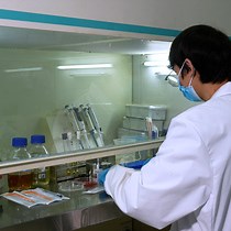 Video: Author Spotlight: Establishing Germ-Free Zebrafish for Microbiota-Host Relationship Studies