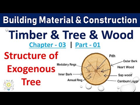 Structure of Tree | Timber, Trees & wood | Part - 1 | Building Material & Construction