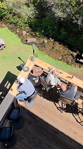 16K views · 482 reactions | It's Sunday Funday here at the Boars Nest  live music is rockin! Come get your fix for our damn good food and icy cold beverages and give those toes a soak in the creek! Be there or be square  | Boars Nest | Facebook