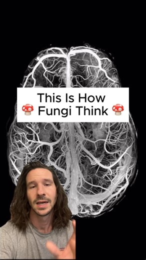 Mushies | This study helped me understand fungal intelligence on a deeper level For years, scientists have debated whether fungi can be considered... | Instagram