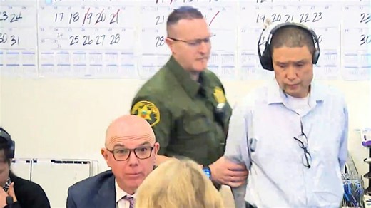 Dog trainer sentenced to nearly 12 years in prison after dogs die in hot van