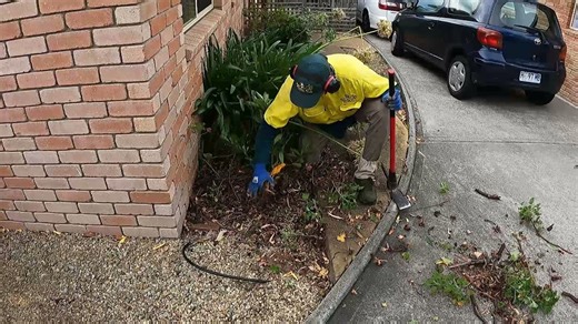 I dig deep: complete garden makeover experience