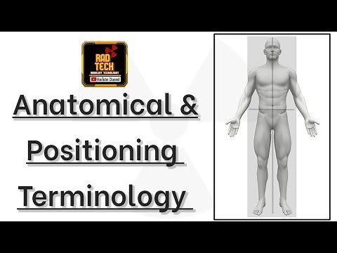 Anatomical & Positioning Terminology.(Body Planes/ Projection/ Positions )