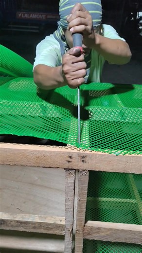 Brooder🐣 #viralpost2025 #viral #reels | Chaga Vlog