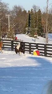 64K views · 5.8K reactions | One of the best things about snow days,...