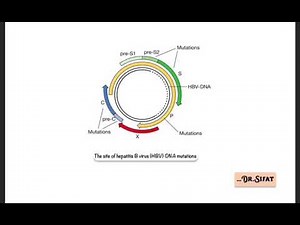 HbeAg Negative Chronic Hepatitis || Hepatitis B virus DNA mutation