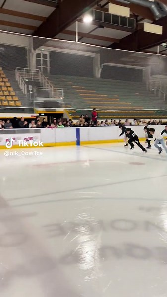 Experience Ice Skating at Patinoire Mulhouse