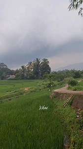 Moment langka... Ka lodaya di tarik lokomotiv CC203 posisi longhood lagi #viral #fyp #kai | Vkai