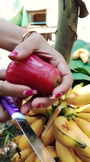 Jambu air jumbo #videoviral