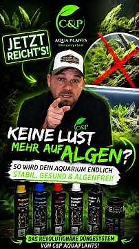 I'm fed up with algae and green deposits in my aquarium!!!! #aquarium