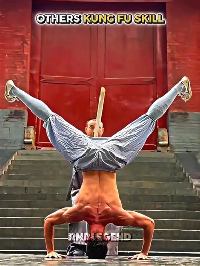 Others Kung Fu Skill VS THIS GUY 💀