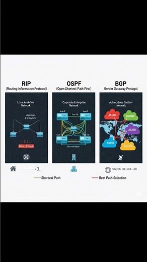 RIP vs OSPF vs BGP Explained | Routing Protocols Comparison (Simple & Clear)
