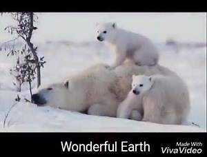Wonderful Earth on Reels