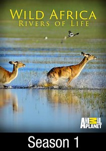 Wild Africa: Rivers of Life: Season of Renewal