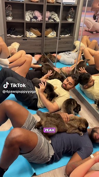 Get cozy with puppy cuddles this winter ❄️ Puppy yoga classes every weekend in the GTA (Mississauga and Toronto)… ALL AGES welcome! #puppylove #winteractivities #puppyyoga #wellness #creatorsearchinsights