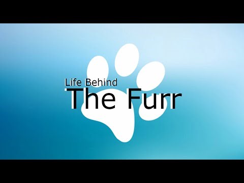 Life Behind The Furr 2022