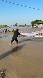 A Village fisherman using cast net to ca.tch fish under stream water #rural #outdoors #fishing #fishinglife #smallfish #gonefishing | Nimit Village