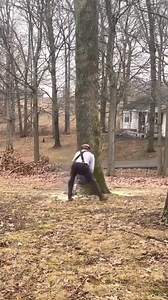 Bore Cutting with Neotec 660 farmac #clonechainsaw #chainsaw | Wes Mitchell Backyard Logging