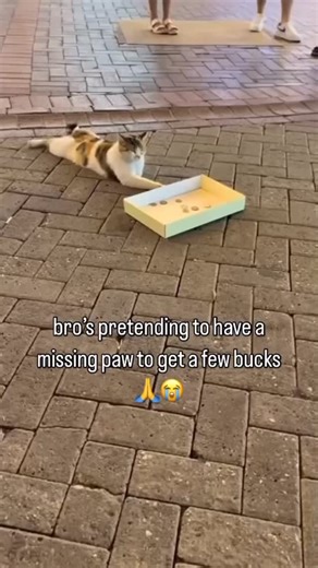 Random memes from my phone pt.457 #reels #funny #memes #meme | Randomness Randomness