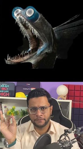 Deep Sea Alien! Telescope Fish #facts