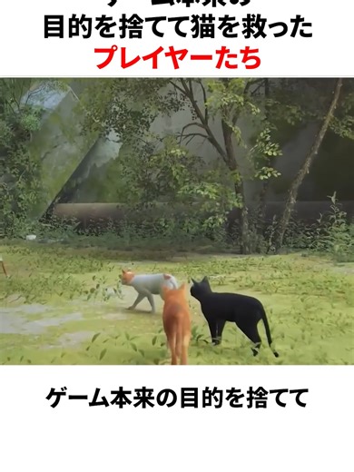 ストレイの猫救出：ゲームを超えた愛
