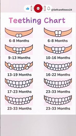 "Your baby’s teething timeline—made simple 👶🦷" #TeethingChart #shorts