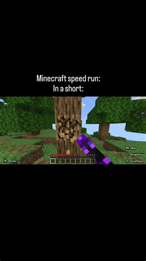 minecraft speed run in a short #minecraft #viral #gaming #minecraftspeedrun #dandandan #viral