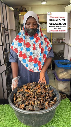 Ovendried snails available for immediate delivery Send a dm to order | Snail & fooditems