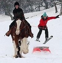 Scottish riding school diversifies into sleigh driving - Horse & Hound