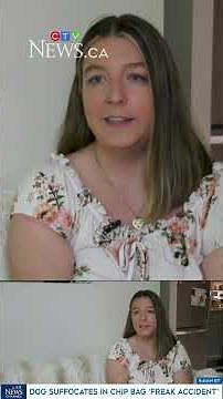 ‘Freak accident’: N.S. dog owner shares warning after dog suffocates in chip bag