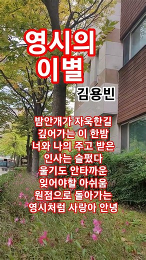영시의 이별 #김용빈#배호#트로트#1971배호ㆍ최고인기애창곡