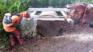 You can come across really big trees both out in the woods and in older parks and gardens. When the trees are felled, it is often hard to find the right tools for cutting the logs into valuable boards. Oversized logs are easiest to cut up on the spot where they were felled, and the Logosol Big Mill is the ultimate solution. The package consists of a saw frame for big chainsaws and guide rail sections, which give stability and highest precision. https://www.logosol.com/store/sawmills/wide-slabber