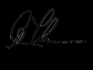 Tampa Window Tinting Sarasota Bradenton Film Installation