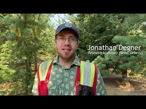 National Forest Week 2023 – Creating Climate-Resilient Forests