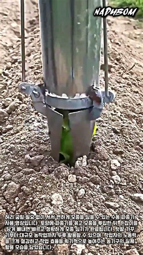 노동력 절감 수동 모종 이식기 #worker #process #farming #tool #agriculture