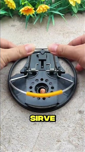 The most effective trap for rodents 🐀⚡✨