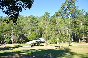 Simpson Falls Picnic Area Mt Coot-tha | Must Do Brisbane
