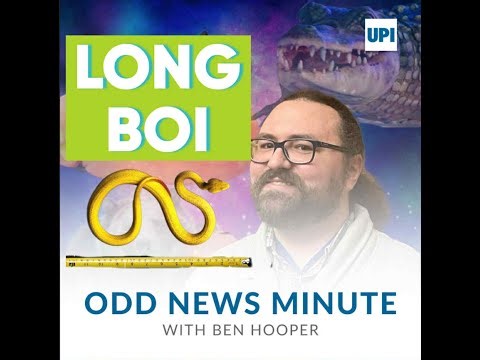 Canadian politician puts on 330 neck ties to break world record