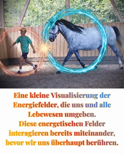 Pferdeaugen- Janna Strehlau - Irisanalyse- Kräuter Fütterung | Eine kleine Visualisierung der Energiefelder, die uns und alle Lebewesen umgeben. Diese energetischen Felder interagieren bereits... | Instagram