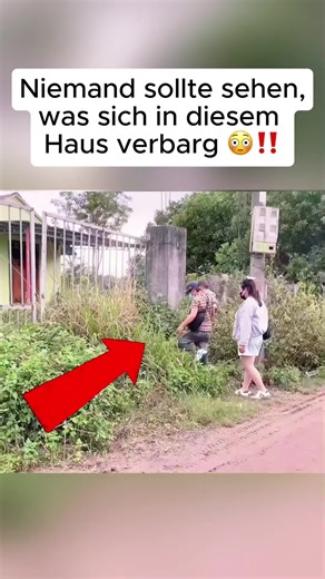 Ich hatte große Angst davor, diesen Garten zu reinigen. #gartenarbeit #garten #reinigung #berlinergärten #deutschland