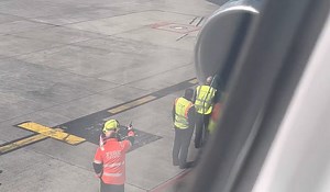 Aer Lingus Plane Makes Emergency Landing After Bird Strike