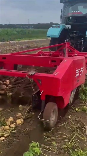 how farmers harvest potatoes using sophisticated tools #shorts