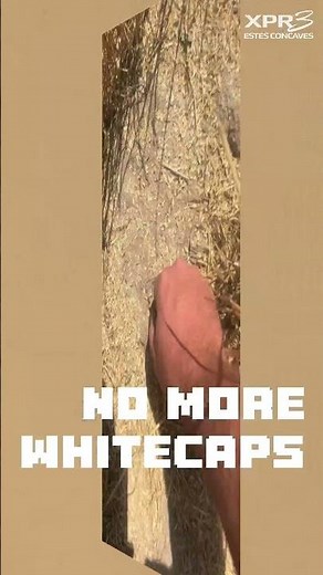 Estes Concaves - XPR3 Wheat Harvest - Stripper Header